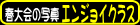 2007t̎ʐ^iGWCNXj